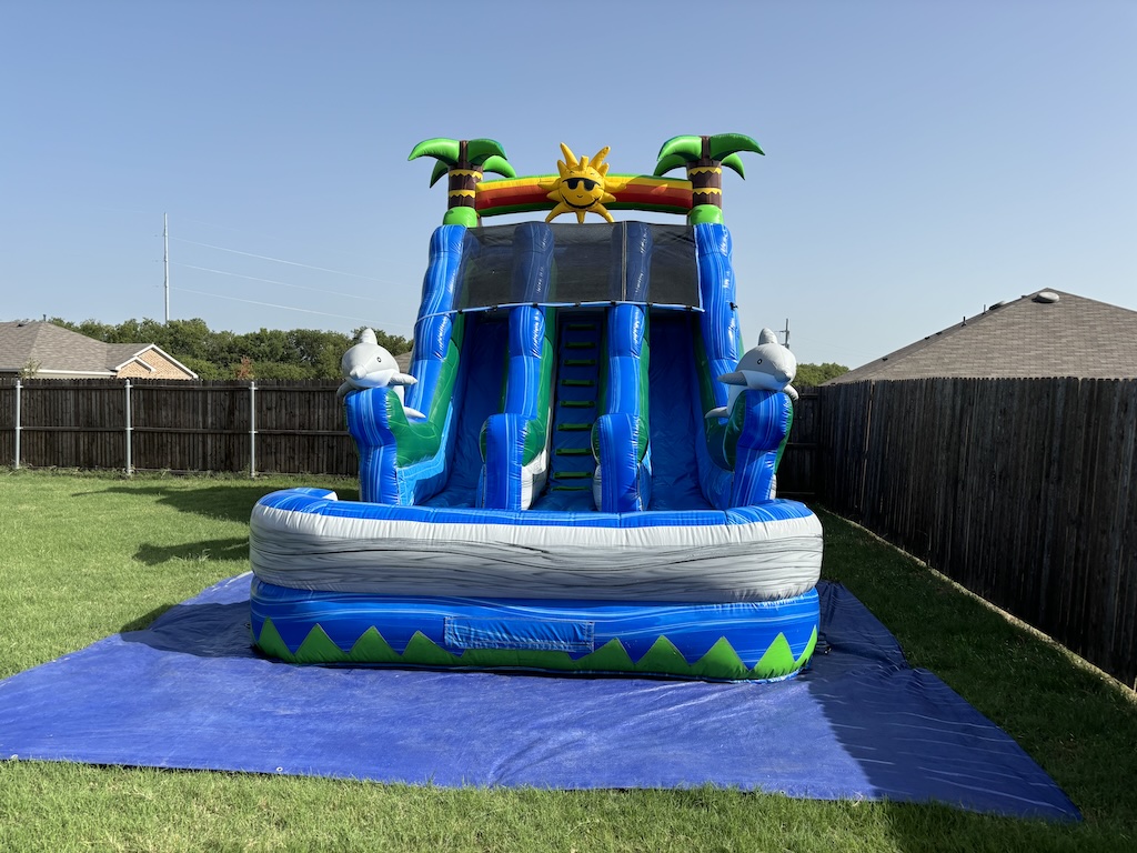 Dolphin Waterslide